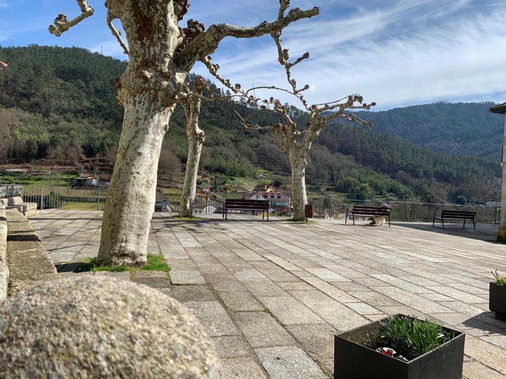 Apartmán Cepas Da Cuenga Ribadavia Exteriér fotografie