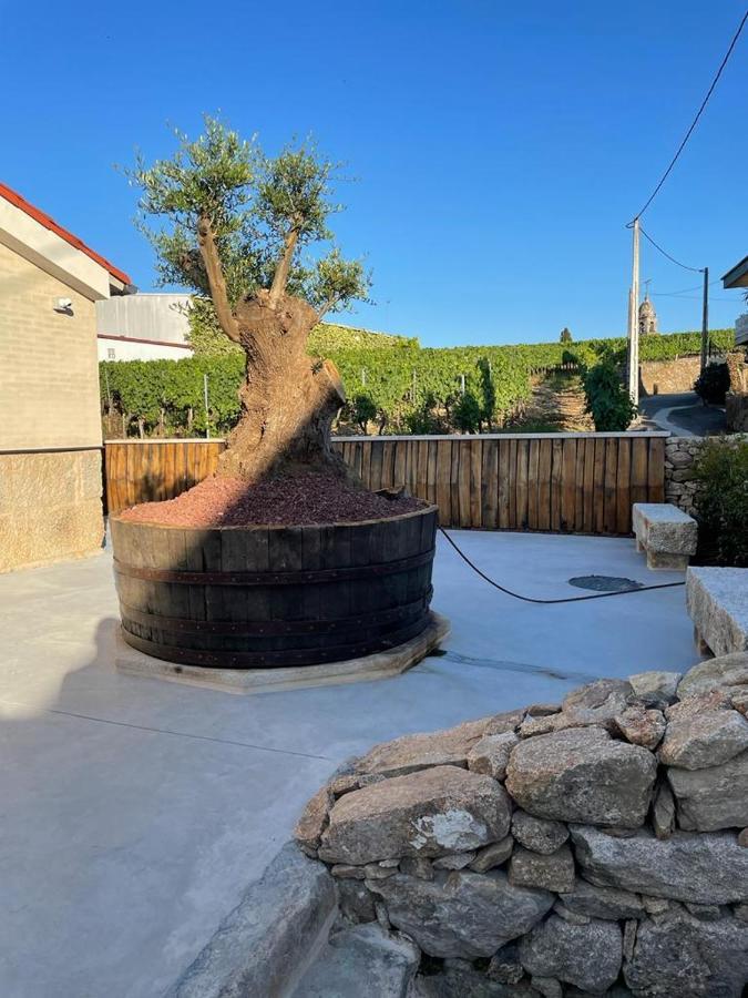 Apartmán Cepas Da Cuenga Ribadavia Exteriér fotografie