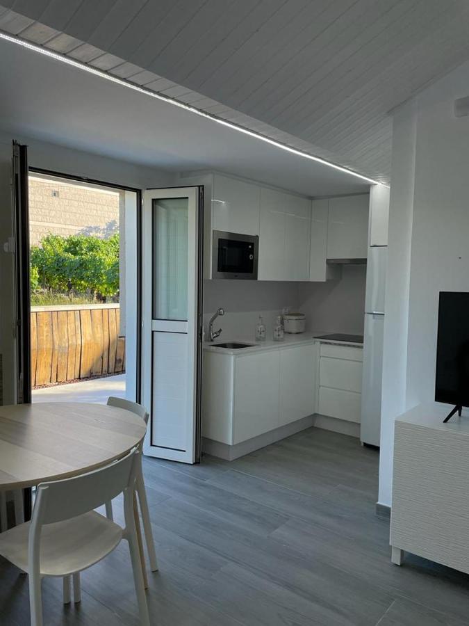 Apartmán Cepas Da Cuenga Ribadavia Exteriér fotografie