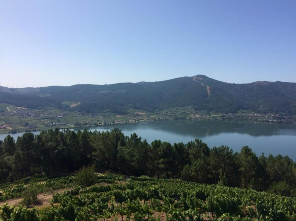 Apartmán Cepas Da Cuenga Ribadavia Exteriér fotografie