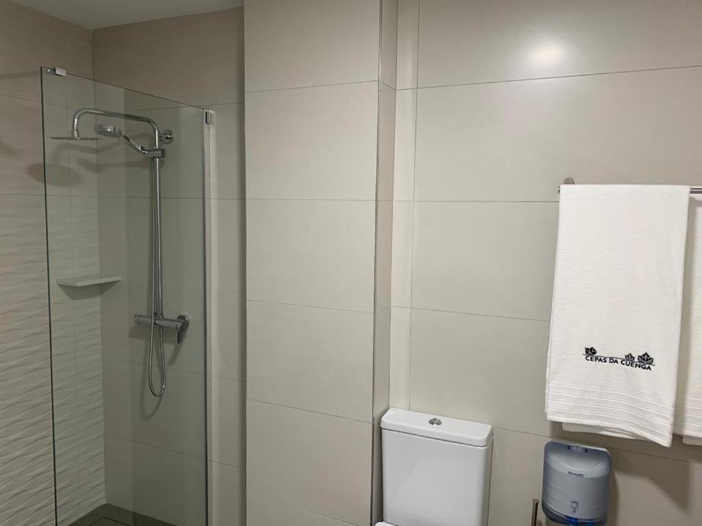 Apartmán Cepas Da Cuenga Ribadavia Exteriér fotografie